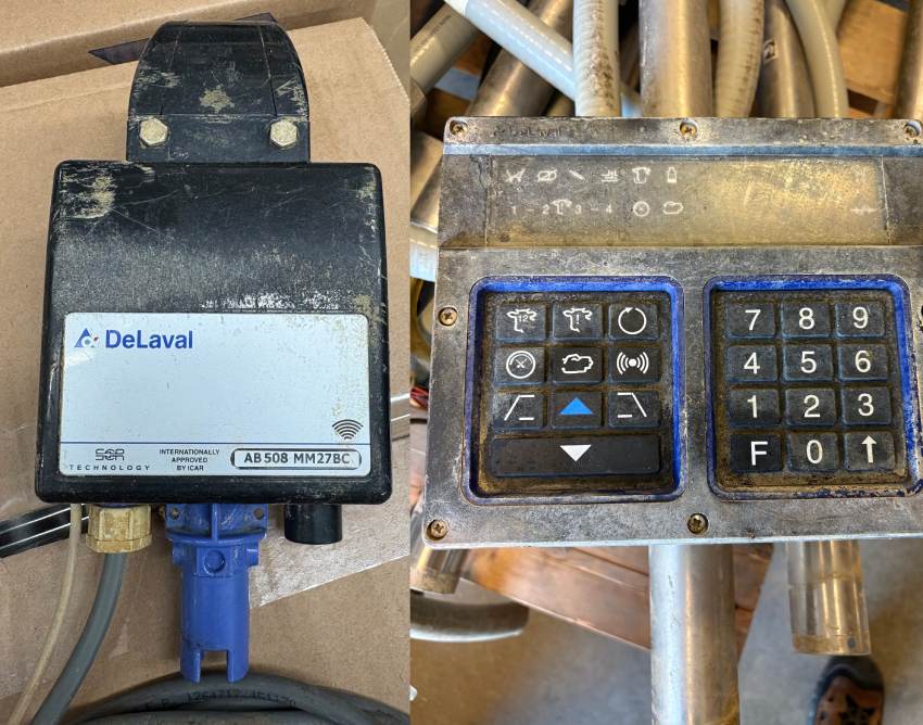 delaval